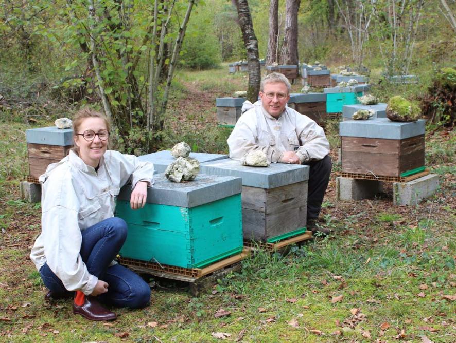 l'abeille et la bête : producteur de miel bio en Brenne